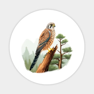 Kestrel Magnet